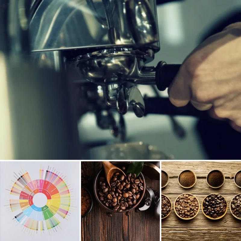 Kaffee Workshop - First Brew – Dein Einstieg als Barista