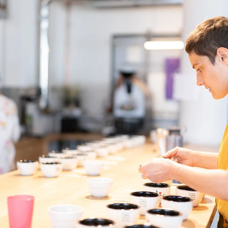 19grams Public Cupping - 19grams Alex