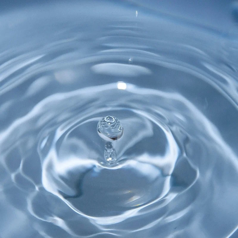 Special | There's Something in the Water